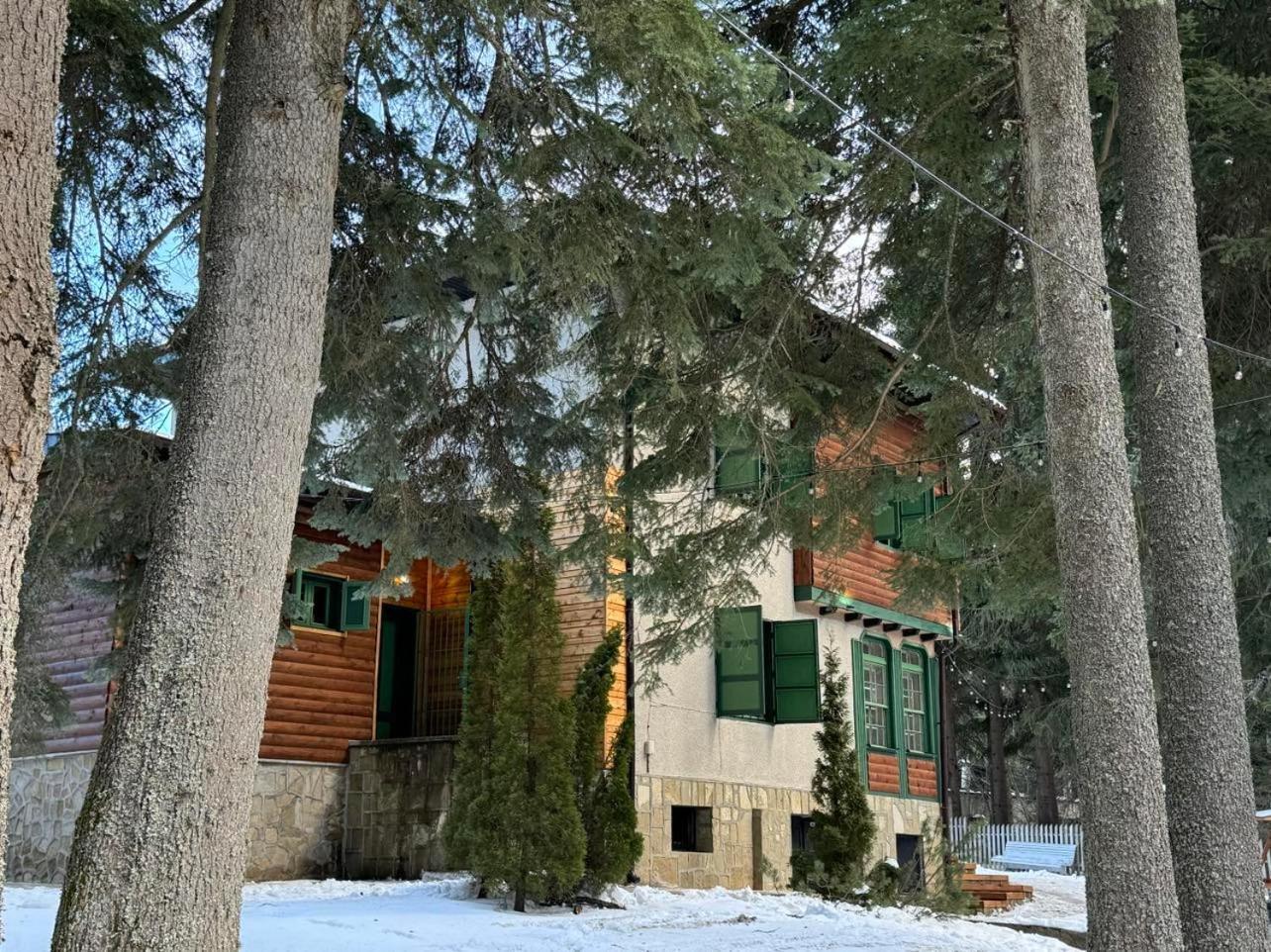 Villa Adis With Hot Pool & Jacuzzi By Bookvillabg Borovets Dış mekan fotoğraf