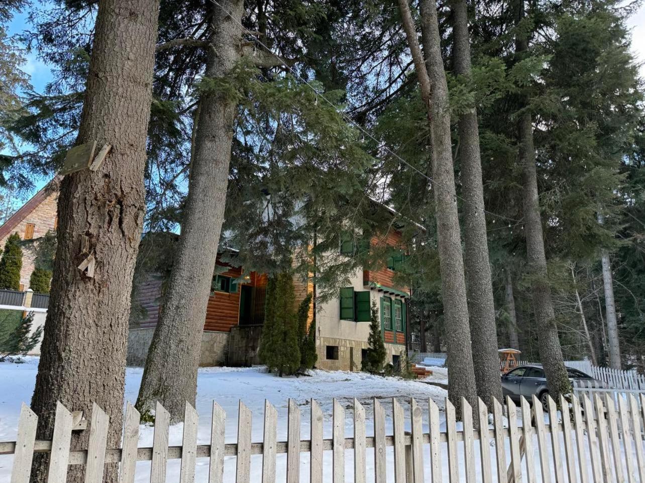 Villa Adis With Hot Pool & Jacuzzi By Bookvillabg Borovets Dış mekan fotoğraf